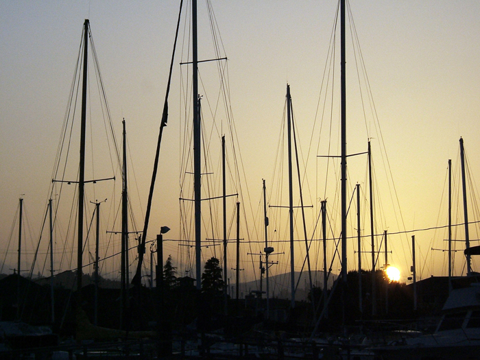 Marin County Harbor 
